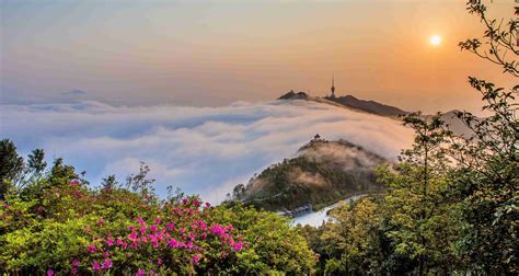 水森林深圳|梧桐山